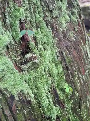 雄山神社中宮祈願殿(富山県)