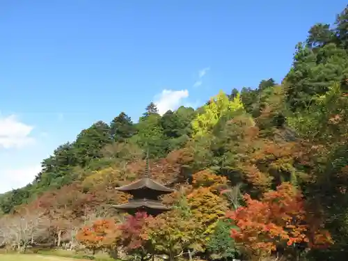 金剛院の景色