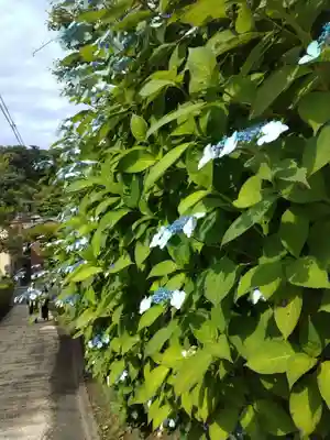 長壽寺（長寿寺）(神奈川県)