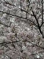 甲神社(茨城県)