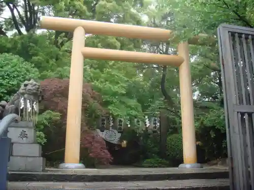 堀越神社の鳥居