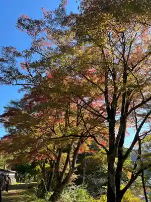 円蔵寺(福島県)