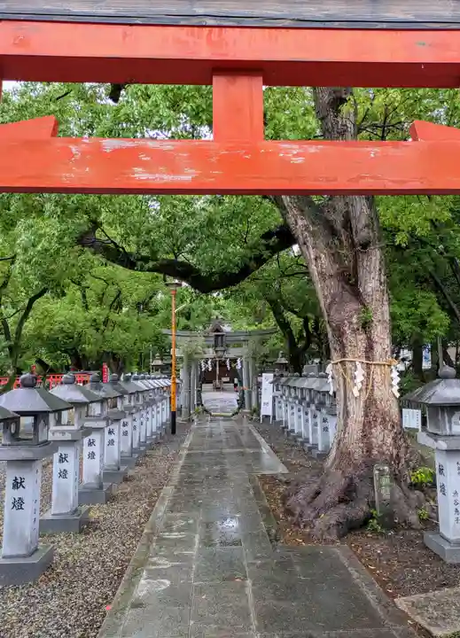 信太森神社(葛葉稲荷神社)(大阪府)