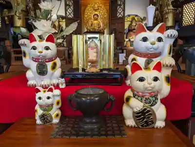 招き猫に守られて、神々しい😻✨