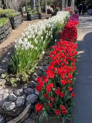 江島神社(神奈川県)