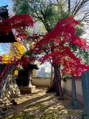 愛染院(東京都)