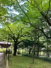 北口本宮冨士浅間神社(山梨県)