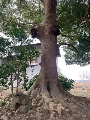 稲荷神社(千葉県)