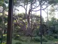 宝泉院のその他建物