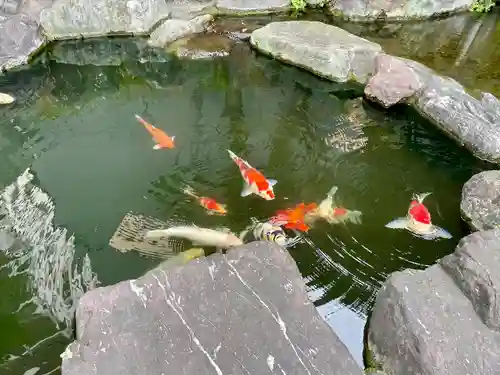 甚行寺(神奈川県)