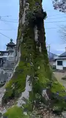 愛宕神社(福井県)