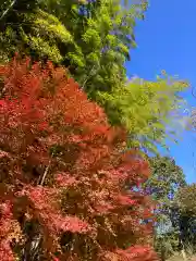 明月院(神奈川県)