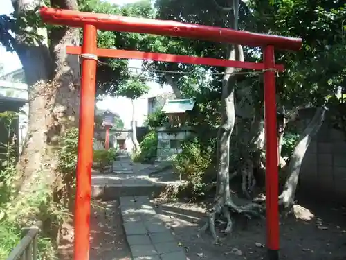 音松稲荷大明神の鳥居