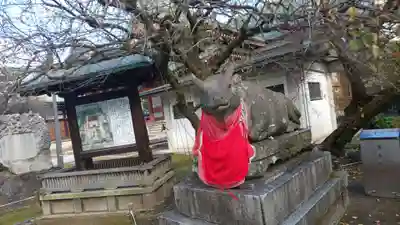 北野天満宮の狛犬