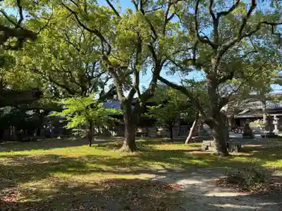 大麻比古神社(徳島県)