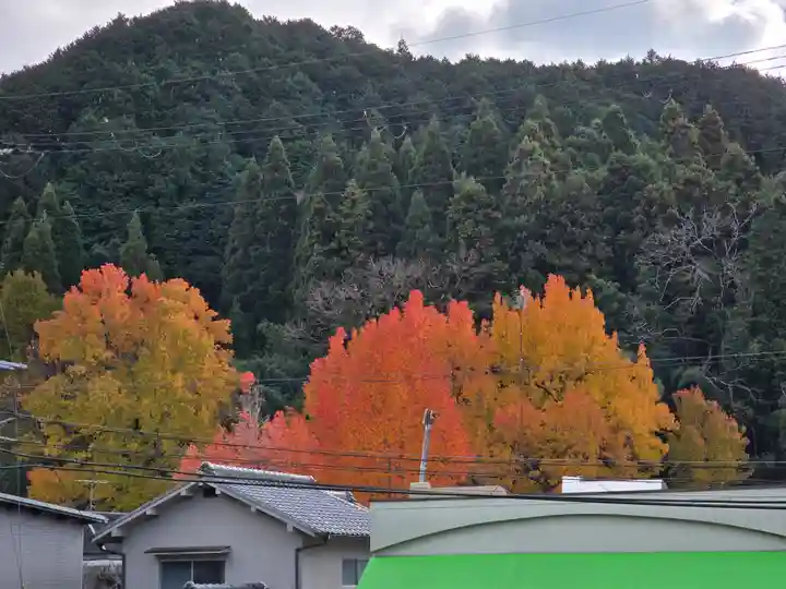 観心寺(大阪府)