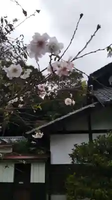 光恩寺の本殿・本堂