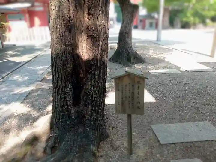 御霊神社の自然