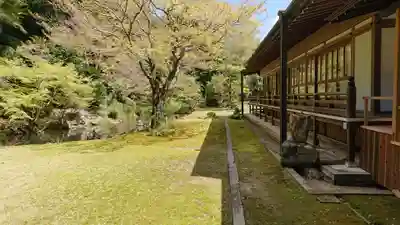 宗隣寺のその他建物