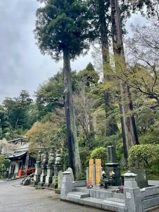 最福寺の{uncategorized: "未分類", other: "その他", undefined: "問題あり", building: "その他建物", grave: "お墓", sacred_gate: "鳥居", guardian: "狛犬", statue: "像", buddha: "仏像", history: "歴史", nature: "自然", garden: "庭園", animal: "動物", pagoda: "塔", temizu: "手水舎", mountain_gate: "山門・神門", sanctuary: "本殿・本堂", subordinate: "末社・摂社", art: "芸術", scenery: "景色", jizo: "地蔵", ema: "絵馬", goshuin: "御朱印", omikuji: "おみくじ", items: "授与品その他", amulet: "お守り", goshuincho: "御朱印帳", eats: "食事", festival: "お祭り", votive_dance: "神楽", shichigosan: "七五三参", wedding: "結婚式", experience: "体験その他", initially: "初詣", around: "周辺", anti_infection: "感染症対策"}