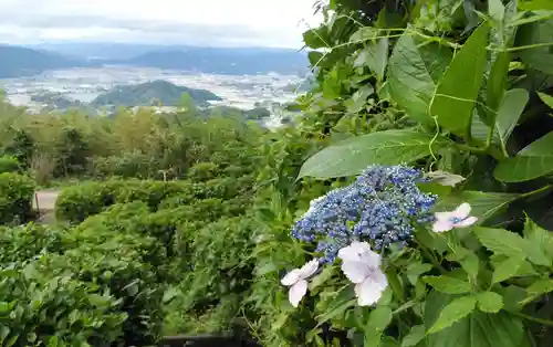 大聖寺の景色