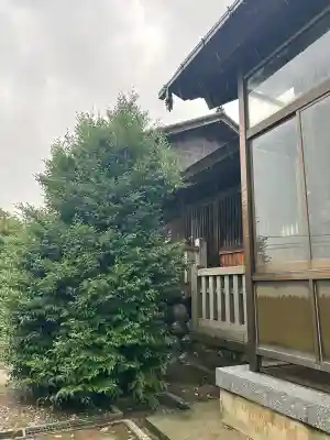 山斐神社(富山県)