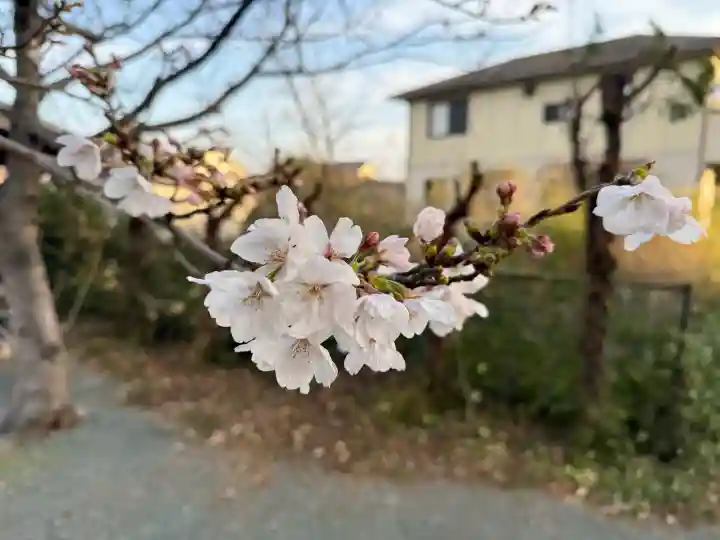 高良玉垂命神社の{uncategorized: "未分類", other: "その他", undefined: "問題あり", building: "その他建物", grave: "お墓", sacred_gate: "鳥居", guardian: "狛犬", statue: "像", buddha: "仏像", history: "歴史", nature: "自然", garden: "庭園", animal: "動物", pagoda: "塔", temizu: "手水舎", mountain_gate: "山門・神門", sanctuary: "本殿・本堂", subordinate: "末社・摂社", art: "芸術", scenery: "景色", jizo: "地蔵", ema: "絵馬", goshuin: "御朱印", omikuji: "おみくじ", items: "授与品その他", amulet: "お守り", goshuincho: "御朱印帳", eats: "食事", festival: "お祭り", votive_dance: "神楽", shichigosan: "七五三参", wedding: "結婚式", experience: "体験その他", initially: "初詣", around: "周辺", anti_infection: "感染症対策"}