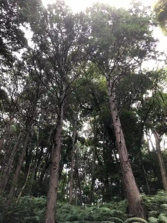 豊国廟(豊国神社飛地境内)の自然