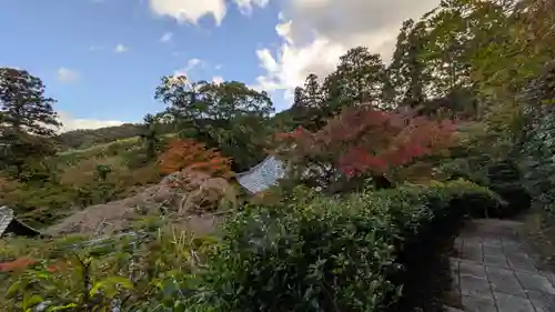 十輪寺(京都府)