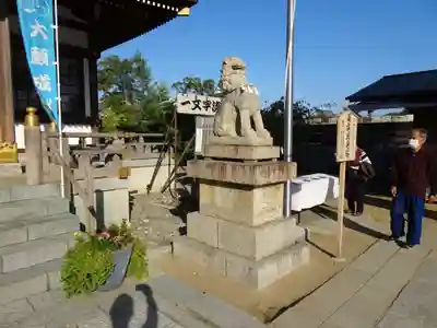 赤穂大石神社の狛犬