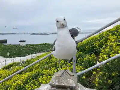 蕪嶋神社(青森県)