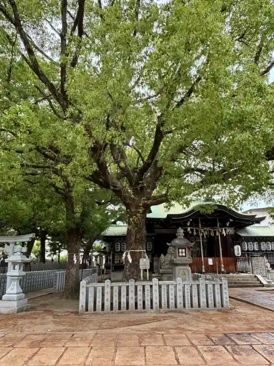八王子神社(大阪府)