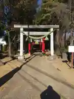 坂田氷川神社(埼玉県)