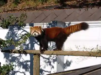妙法寺(福井県)