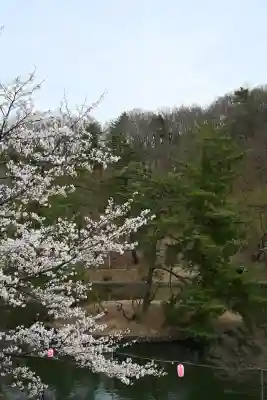 蒼柴神社(新潟県)