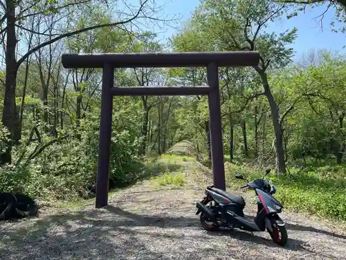 大國神社の鳥居