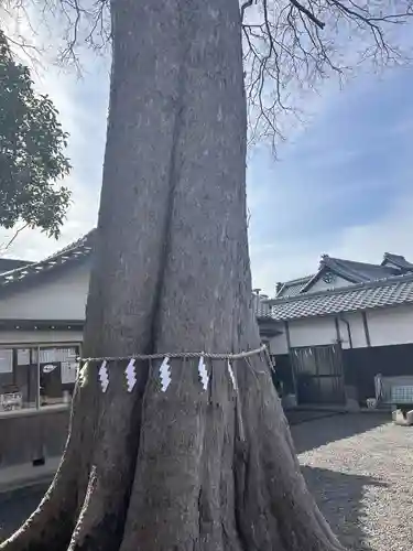 神館飯野高市本多神社(三重県)