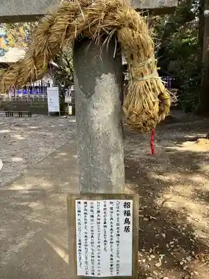 下野 星宮神社(栃木県)
