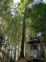 大木神社(千葉県)