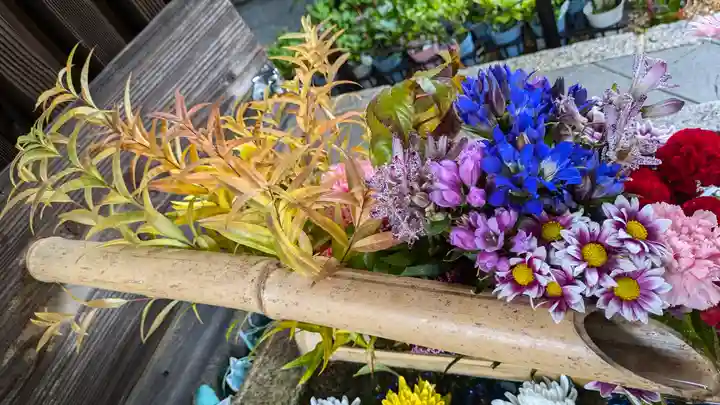 勝林寺(京都府)