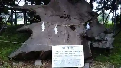 香取神社のその他建物