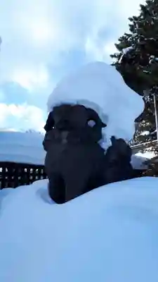 札幌護國神社の狛犬