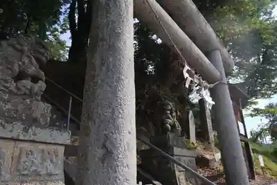 阿久津「田村神社」(郡山市阿久津町)旧社名:伊豆箱根三嶋三社の狛犬