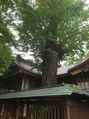 麻賀多神社のその他建物