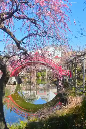 亀戸天神社(東京都)