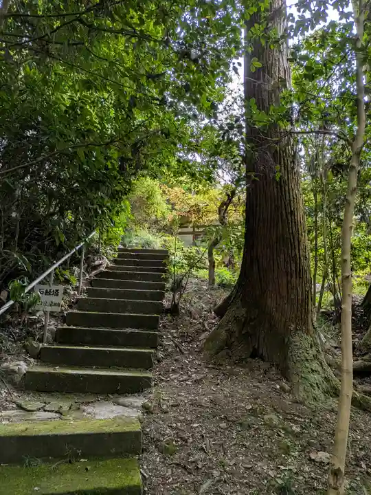 宝登山神社(埼玉県)