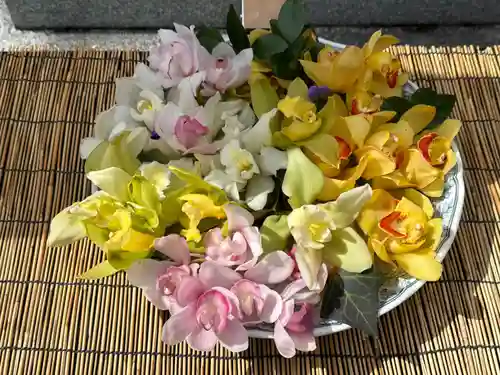 徳島眉山天神社(徳島県)