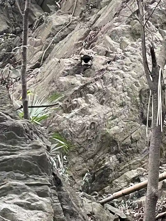 佐志能神社(茨城県)