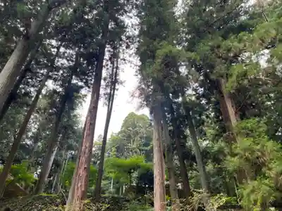 大宮温泉神社(栃木県)