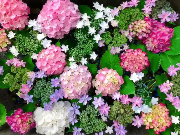 東海市熊野神社の手水舎